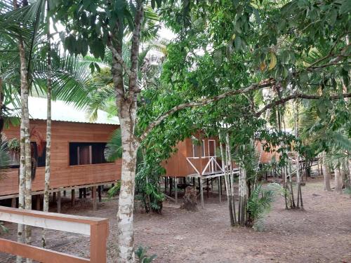 Amazon Seringal jungle Lodge