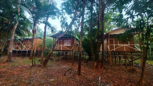 Amazon Seringal jungle Lodge