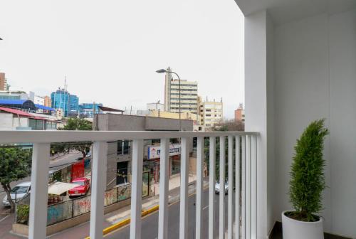 Kennedy by Wynwood House