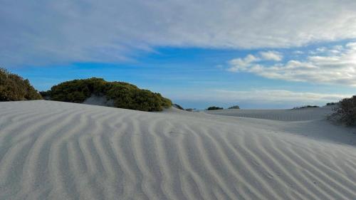 Entre Dunas y Caracolas