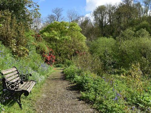 Kingfisher Kingfisher