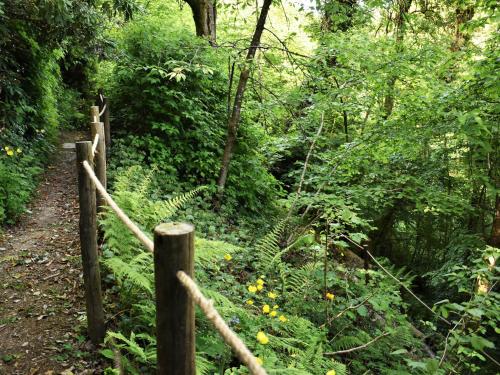 Kingfisher Kingfisher