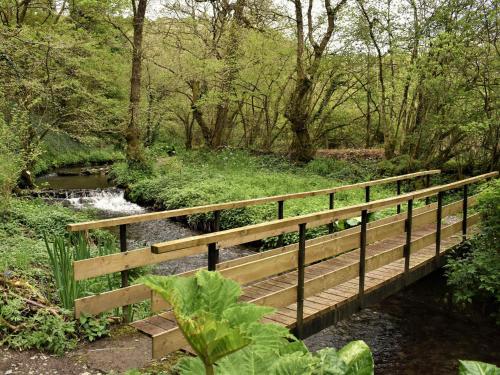 Kingfisher Kingfisher