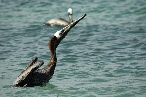 KARETS VIEW les pieds dans l eau - feet in water