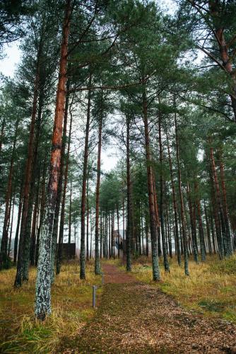 Surrounding environment, Jagala Juga Nature Resort SPA in Kaberneeme