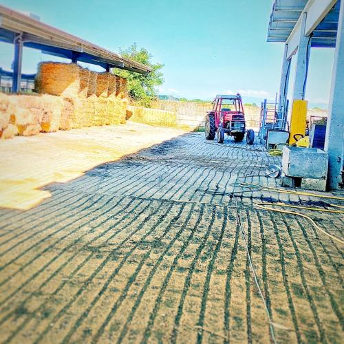 Quadrifoglio Relax - image 4