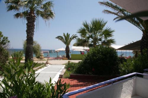 Kefalonia Beach Hotel & Bungalows 5