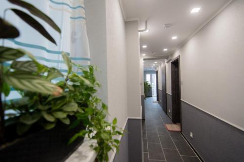 European Apartman Szeged
