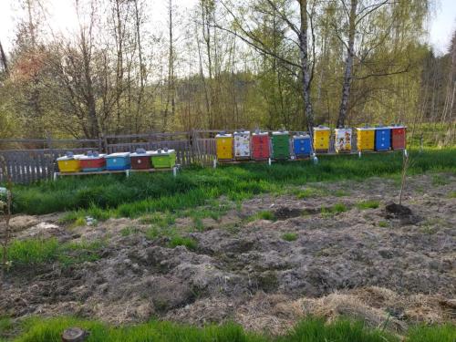 Ubytování Chlum 1 - image 11