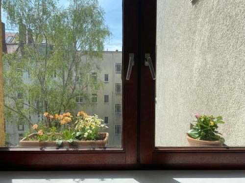 Vorhang auf!, Berlin (zdjęcie 7)