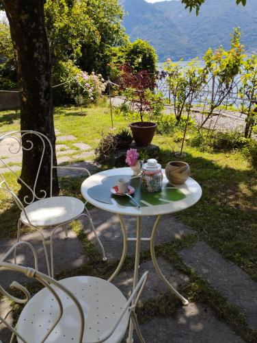 Island Garden - image 6