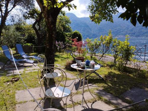 Island Garden - image 8