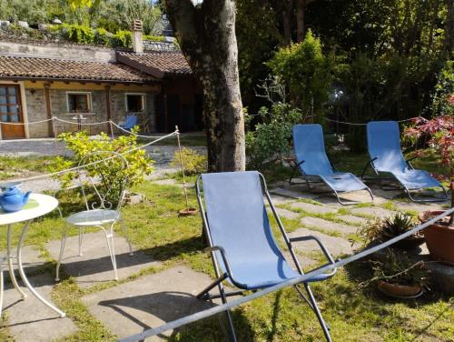 Island Garden - image 11