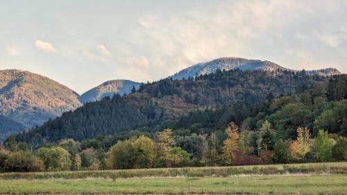 Ferienwohnung Belchenblick