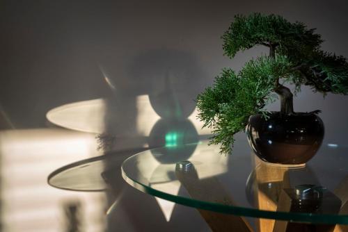 Stunning - 2 Bedroom - 2 Bathroom home - Nr Kirkby Lonsdale - image 13