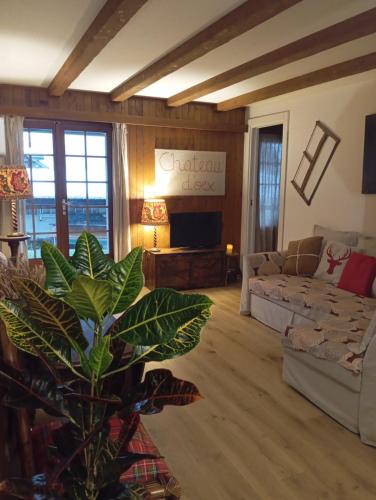 Cozy apartment in the heart of the Alps - Apartment - Château d'Oex