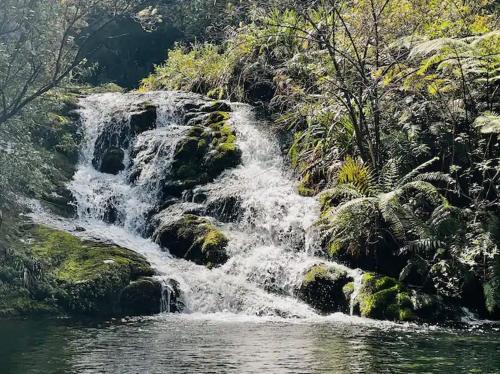 Coromandel Secluded Log Cabin Retreat