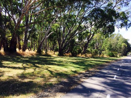 3. Sunny Shackell. Echuca Moama Holiday Accommodation