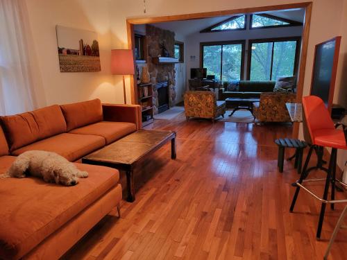 Lakefront Cabin in the Woods fully fenced yard in Elkhorn, USA