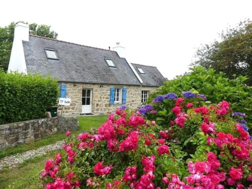 Penty Ty Gwen (Cap de la Chèvre) - Location saisonnière - Crozon