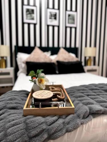 Chic Safari Haven - 2 BD2 BA - Sleeps 8 in Chicago, USA