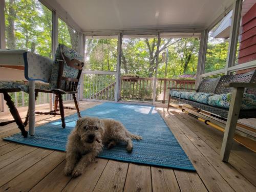 Lakefront Cabin in the Woods fully fenced yard in Elkhorn, USA