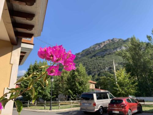 Cumbres de los Picos Apartamento Los Abedules