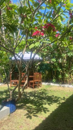 Pousada Pipa Brasil – Pipa Beach, MT