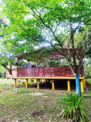 Dārzs, Amalaya Hostel in Restrepo