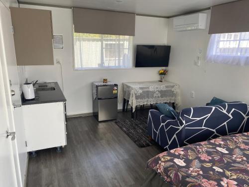 Entire En-Suite Private Bathroom, Private Entrance, Heatpump, Netflix, Close Hospital Homestay Hamilton