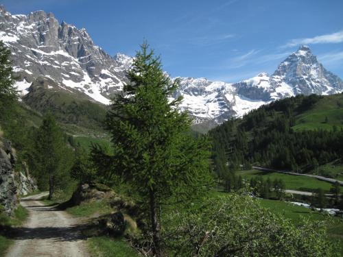 Hotel Meublè Meridiana - image 5