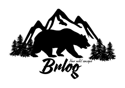 Brlog