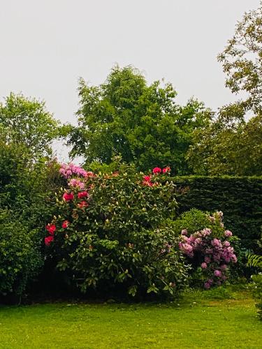 Maison 10p avec piscine, chauffée et partagée avec 1 autre gîte, horaires privatifs pour chaque gîte - Devis sur demande