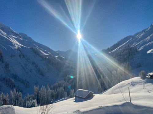 Älpler Stuba Appartements am Lärchenhof - Apartment - Warth am Arlberg