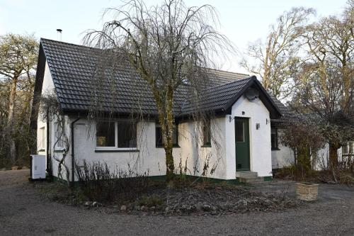 Зовнішній вигляд готелю, Rivendell House in Спін міст