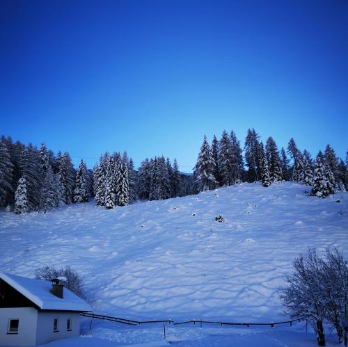 MycozyKoma in Schmirn, Österreich