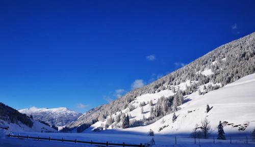 MycozyKoma in Schmirn, Österreich