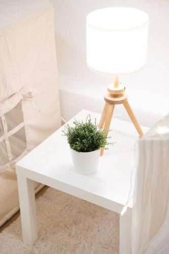 Berkeley Hills Retreat 6 BR/ 6 BA Berkeley Hills Retreat 6 BR/ 6 BA