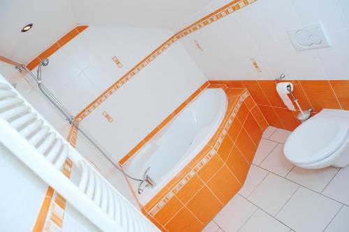 Hotel Praha Potštejn - image 4