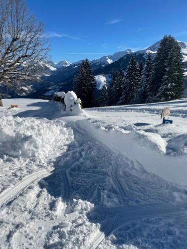  Berg-Pension Battagliahütte in Churwalden