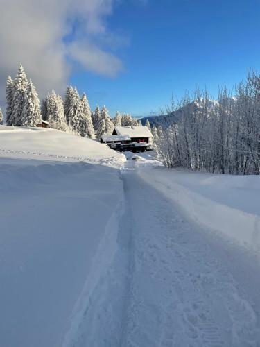  Berg-Pension Battagliahütte in Churwalden