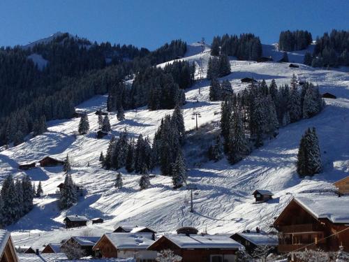 Chalet Butterfly - image 3