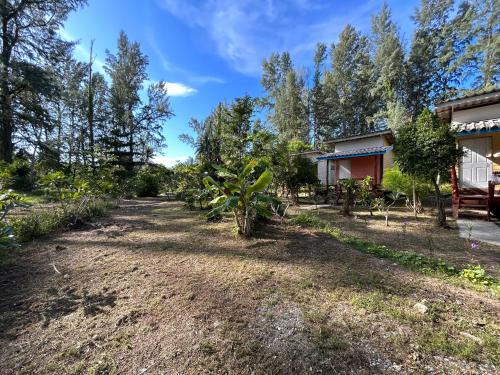 Exterior view, Neverland Beach Village Bungalows in Kaw Kwang Beach