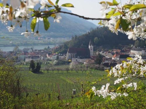 Apkārtne, Jutta´s Ferientraum in Kotesa