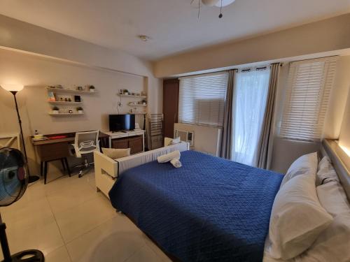 Palm Tree Villas Condominium by Beth, Manille