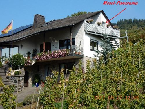 Mosel-Panorama - Apartment - Enkirch