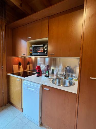 L'ORENETA - Peu del Riu 712 - Vall d'Incles - Soldeu Hut 8367 in Incles