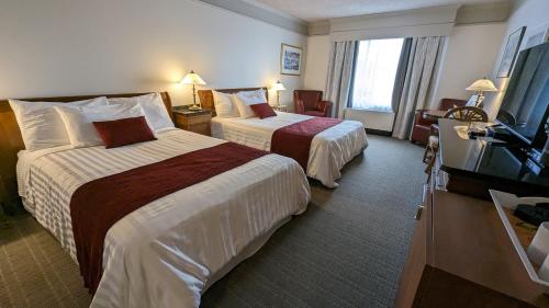 Superior Queen Room with Double Bed