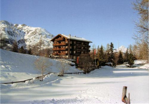 Hotel zum See - image 13