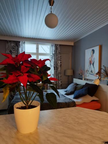 Studio in Kallio, Helsinki (photo 4)